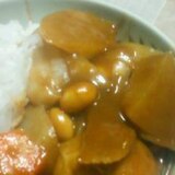 ヘルシーな大根と大豆のカレー